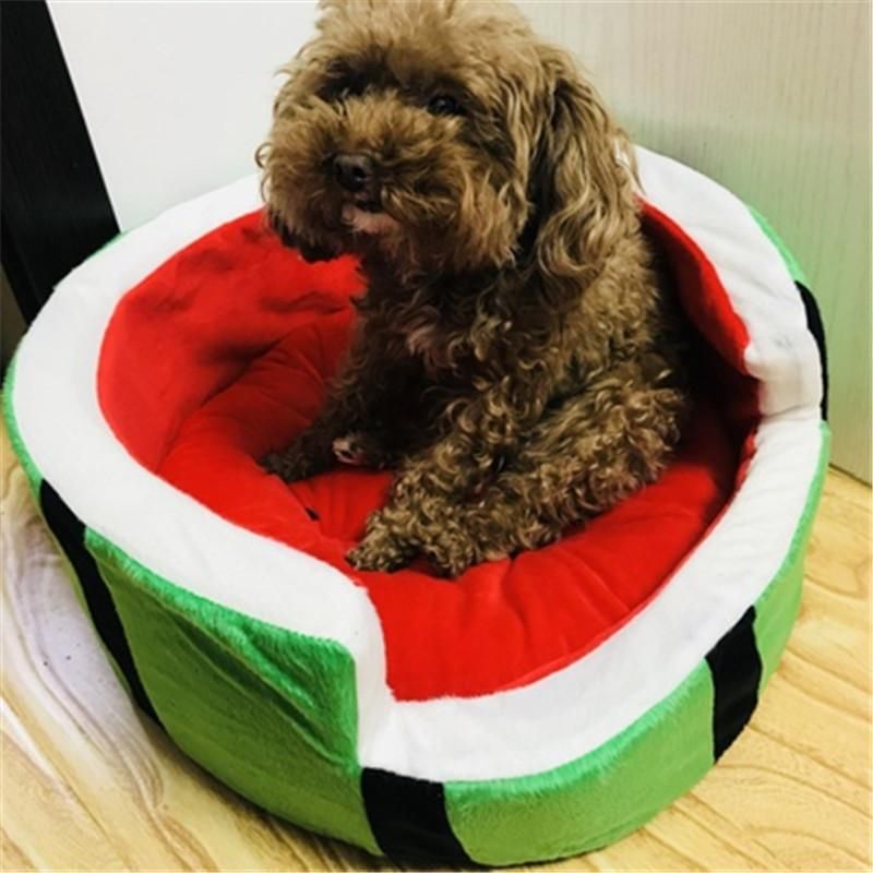 poundland dog beds