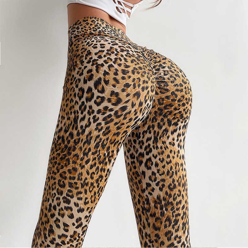 gul leopard