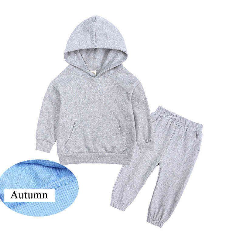 Autumn Grey