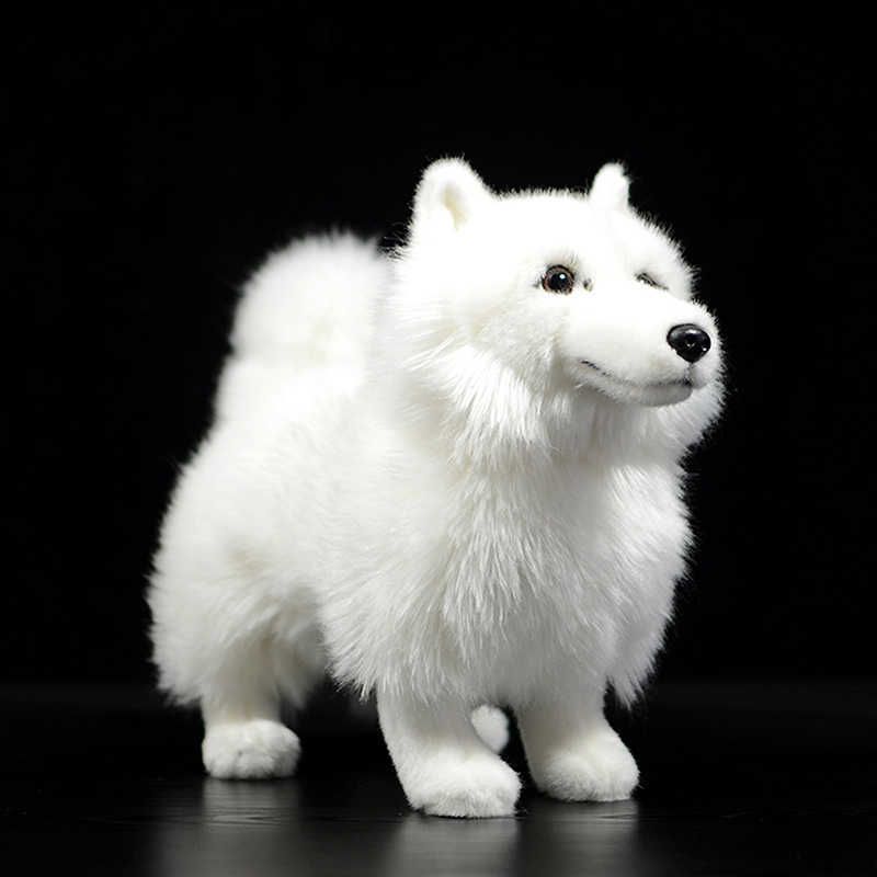 samoyed plush