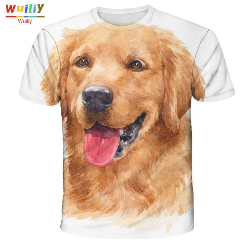 Golden Retriever 2