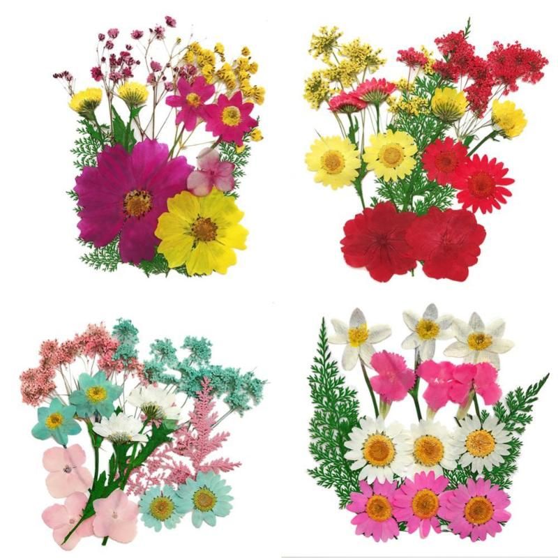 Beautiful Real Pressed Flower Dried Flowers for Arts Crafts Resin Jewelry Making 