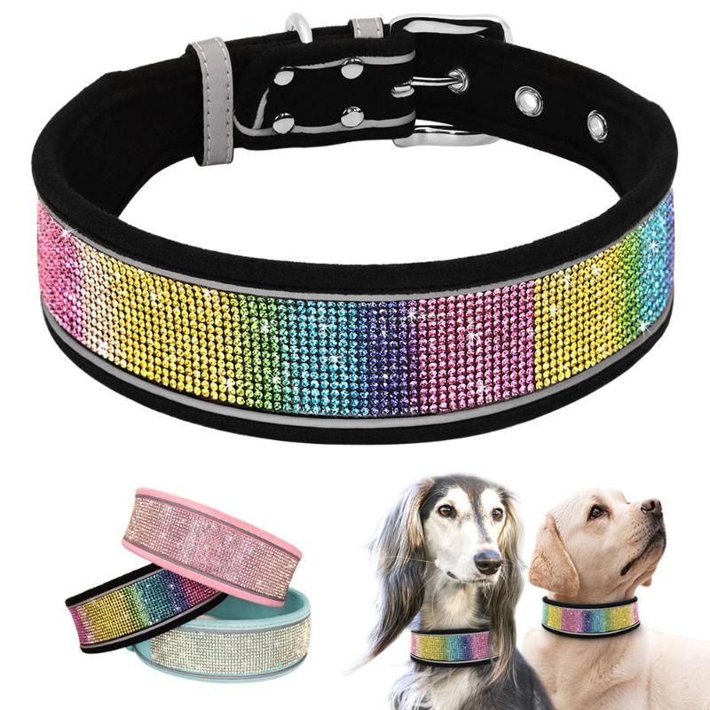 bulk dog collars and leashes