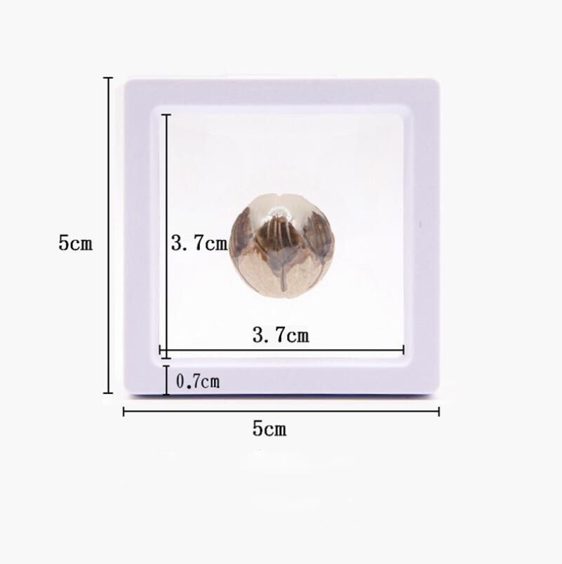 Blanco: 5 * 5 * 2 cm sin base.