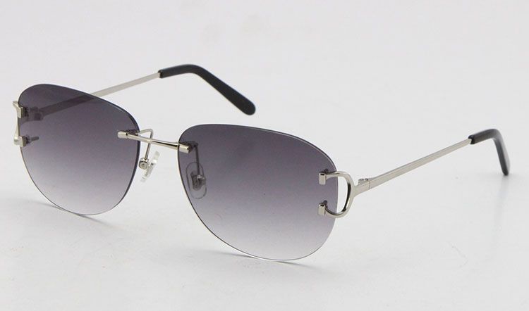 4193828 Silver Gray Lens