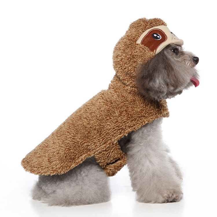 outdoor dog apparel