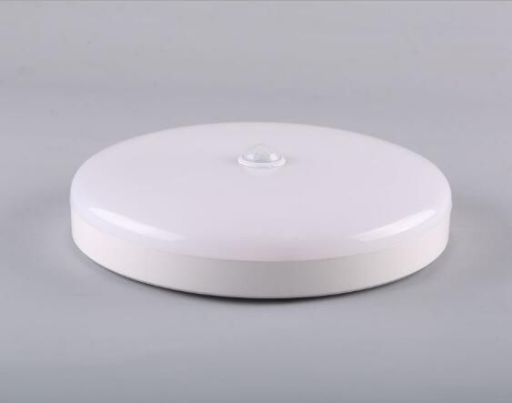 PIR Motion Sensor