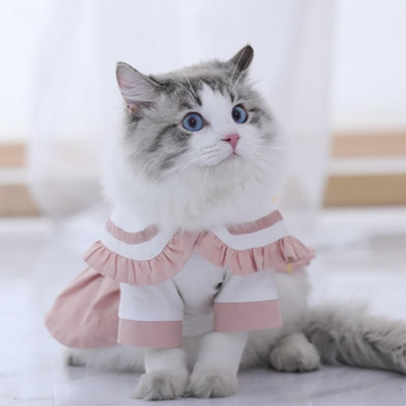 Disfraces de gatos Jodpet Moda Ropa JK Falda Linda Vestido Bebé Ropa Postura