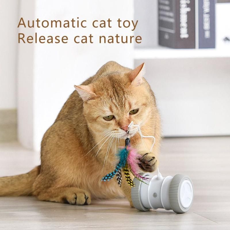 Brinquedo de gato interativo, para recarregável, Smart Sensing Cat Toys, Jogo  Eletrônico Automático Snake Electronic USB Kitten Pets