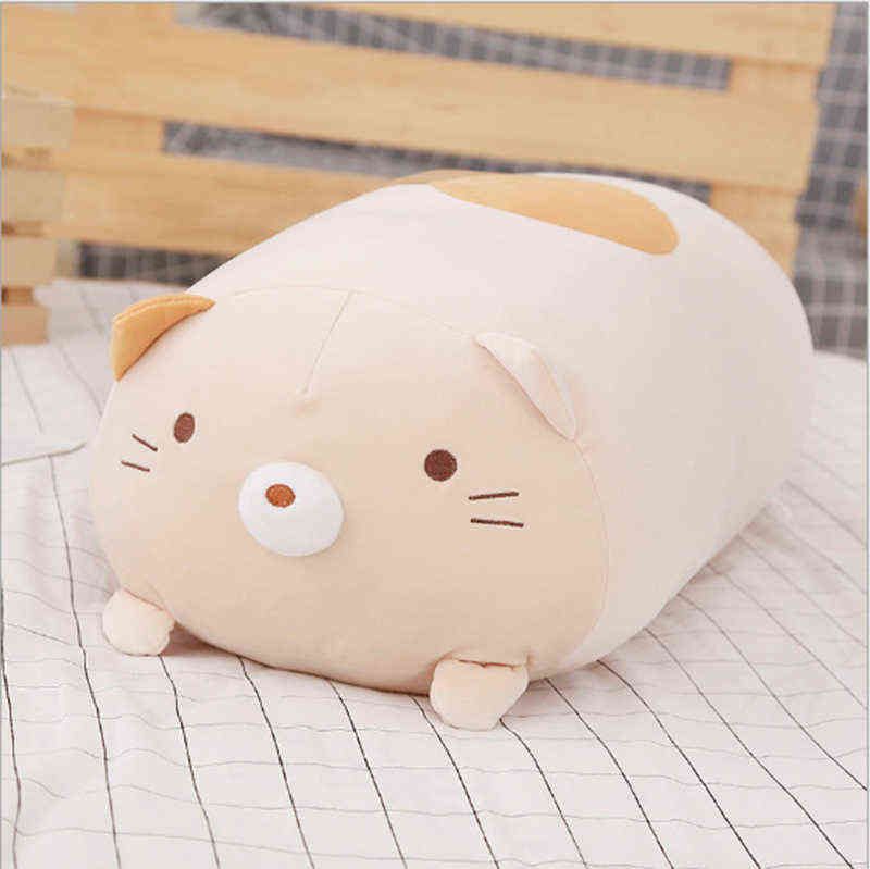 갈색 곰