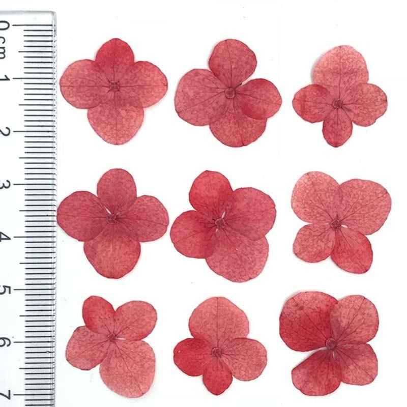 Czerwony 1,5-2 cm