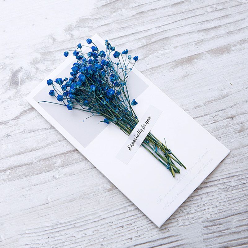 Gypsophila blu