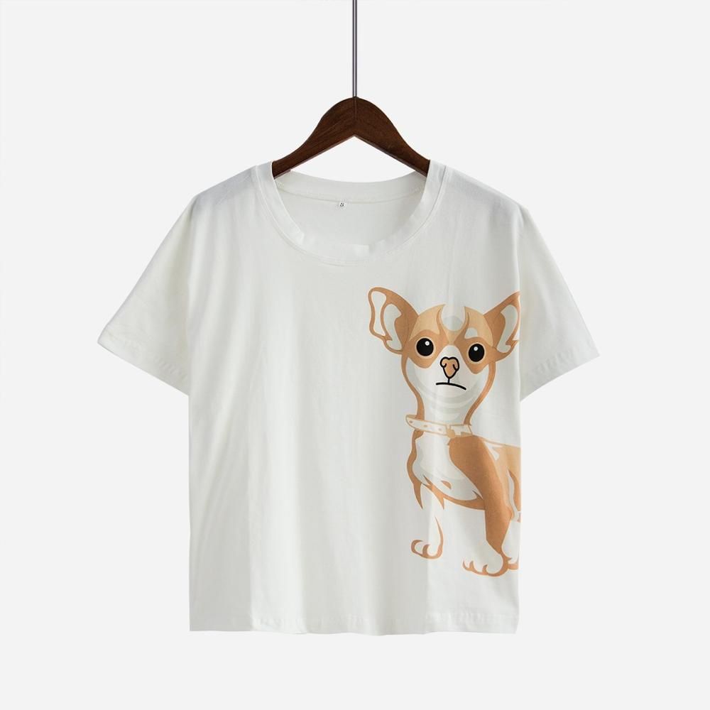 Chihuahua top.