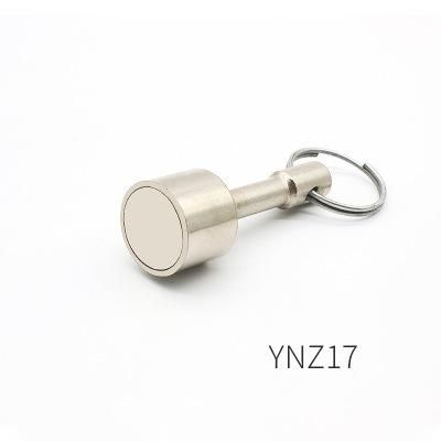 Ynz17