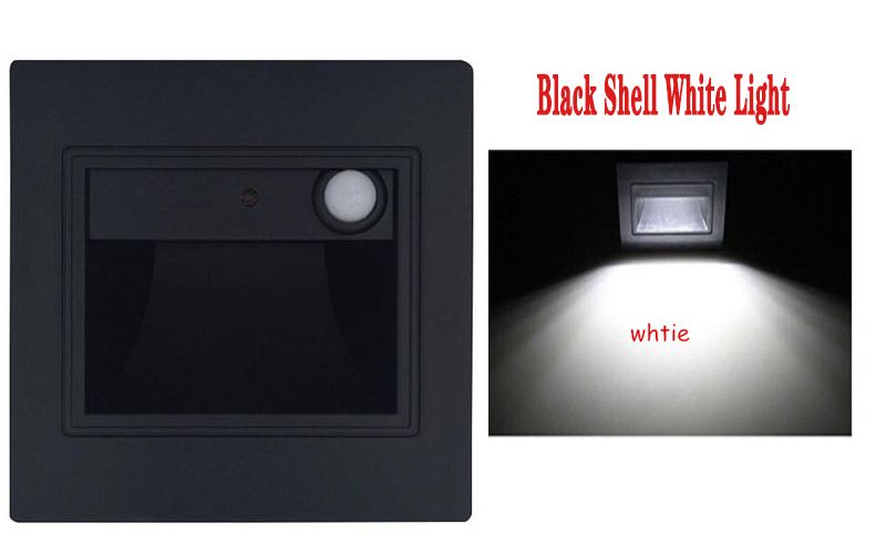 Black Shell White Light