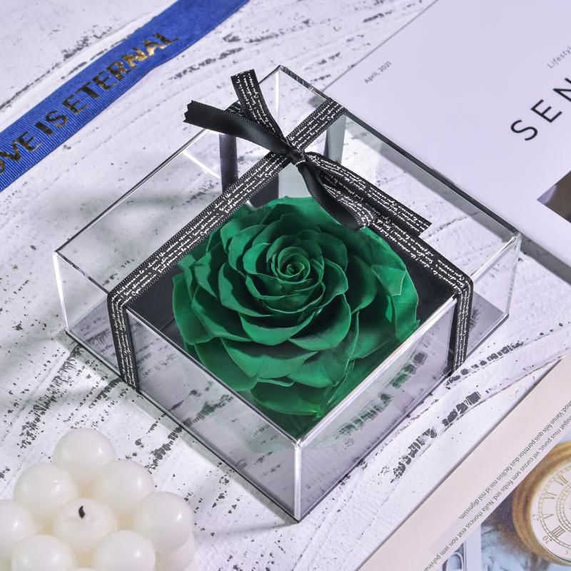 Green Mirror Box