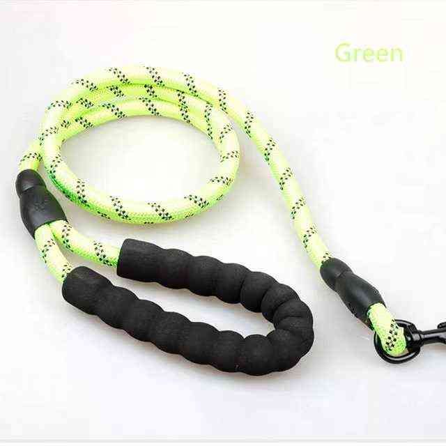 Outdoor Leash Green.