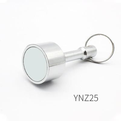 Ynz25