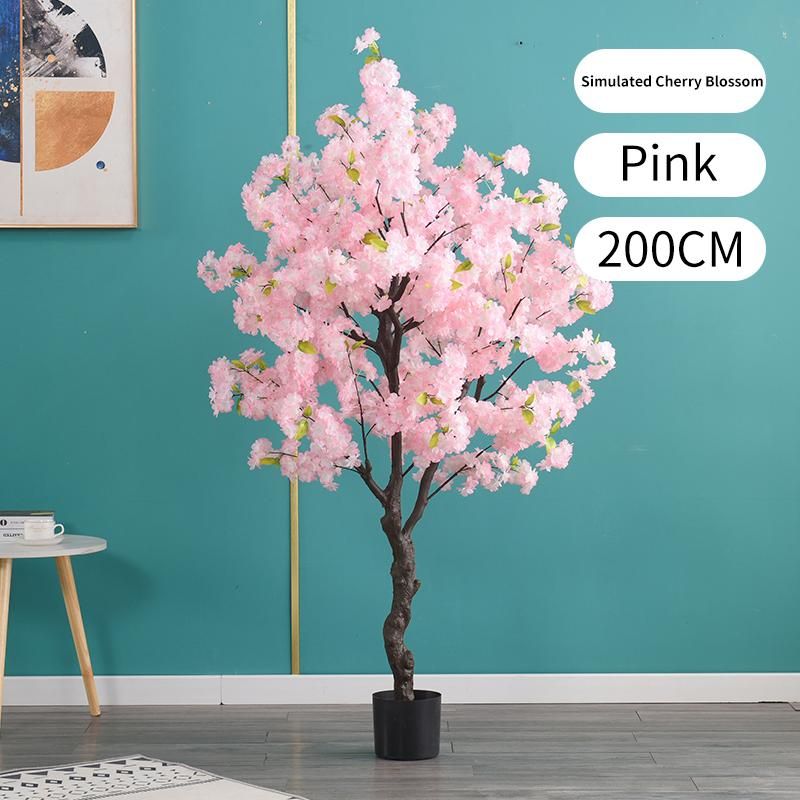 200cm Pink