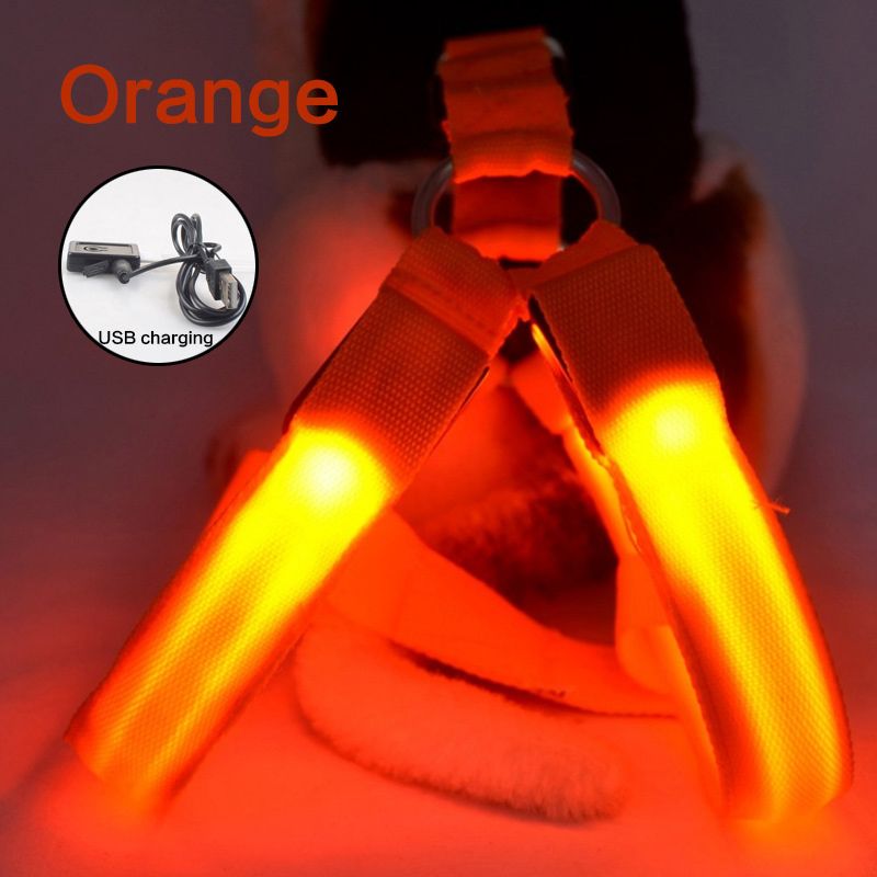 Orange-USB-Lade