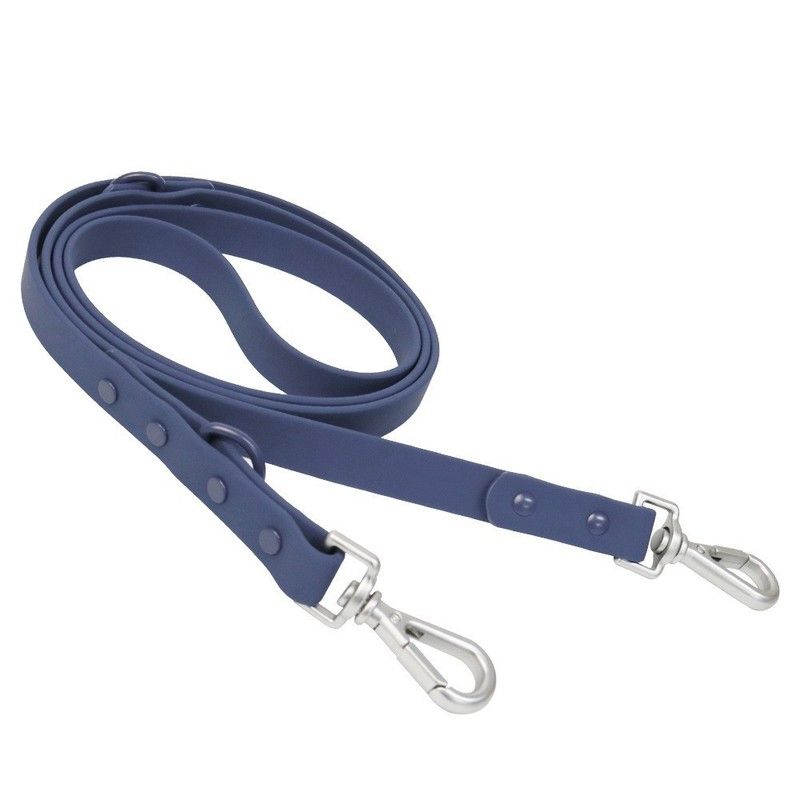 Blue Leash