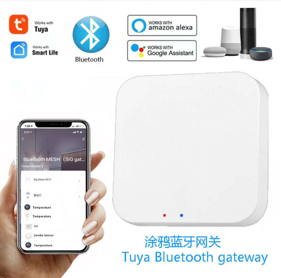 002 Gateway mesh Bluetooth