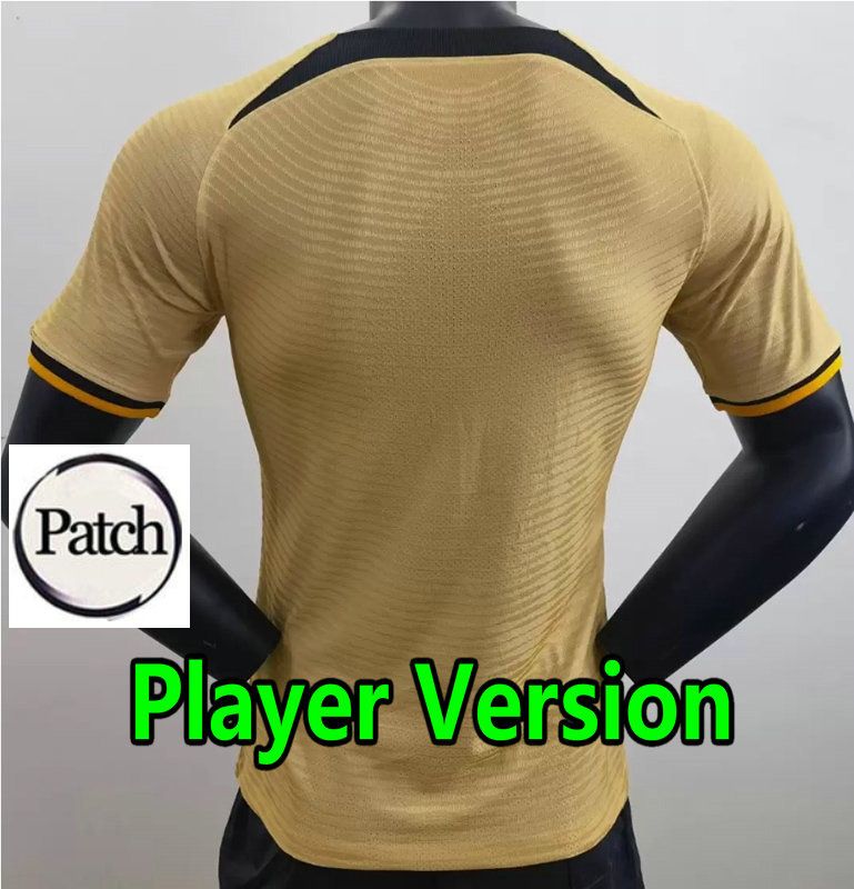 player 3rd +patch