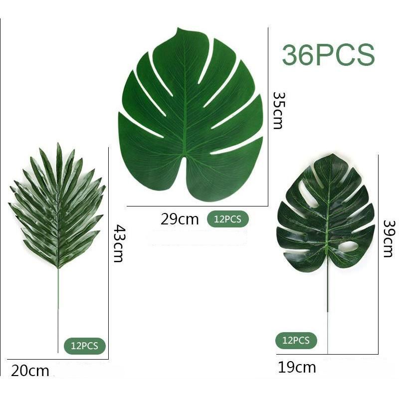 Picture11として