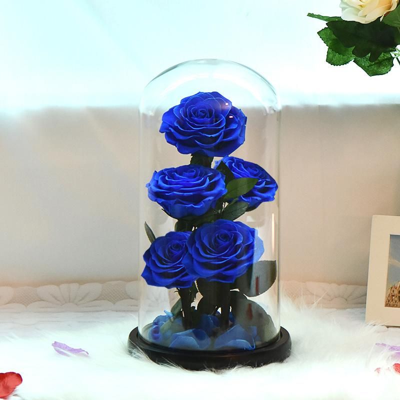 5 têtes Rose bleue