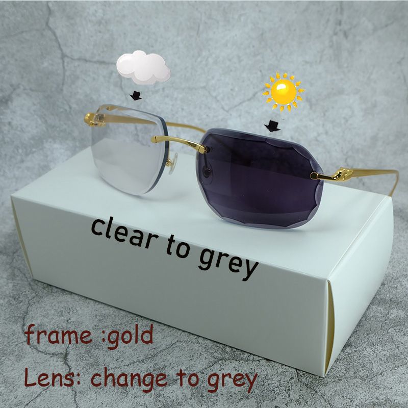 الخيارات: Gold Gray