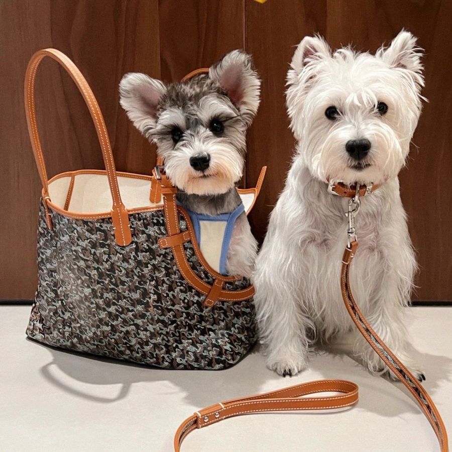 Authentic GOYARD Sac Hardy 'Chic du Chien' PM Pet