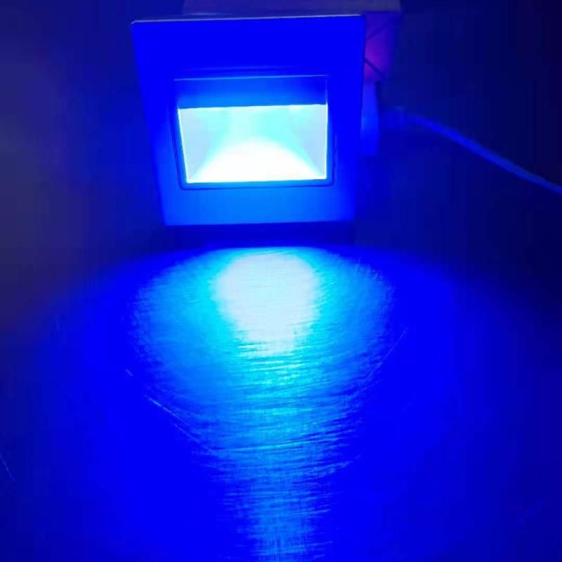 Blue light