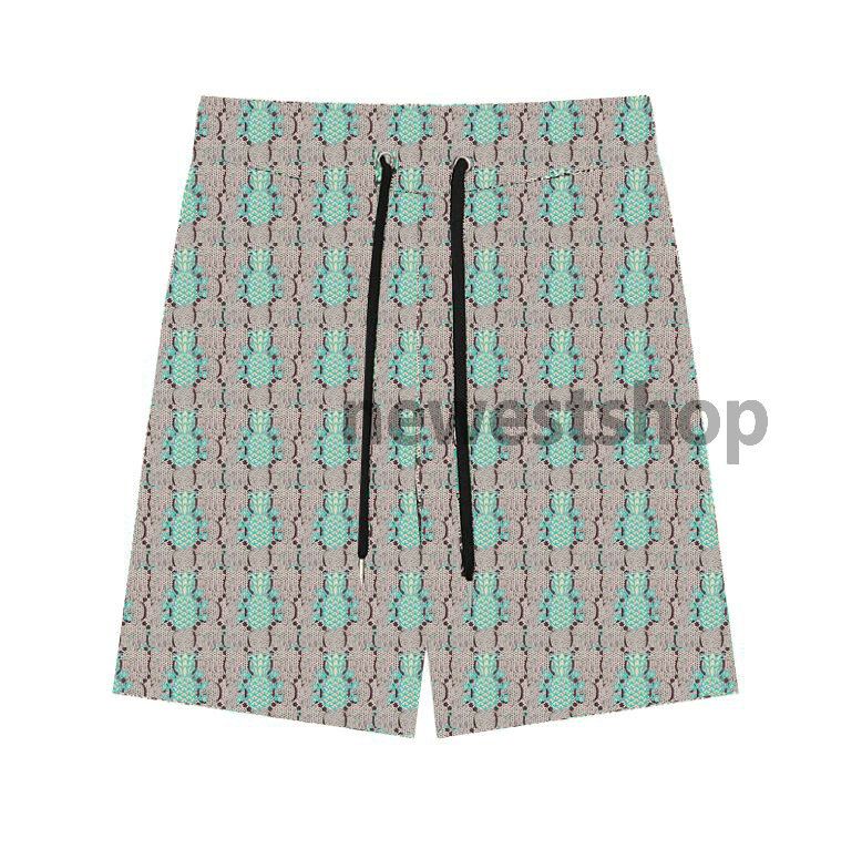 shorts verdes