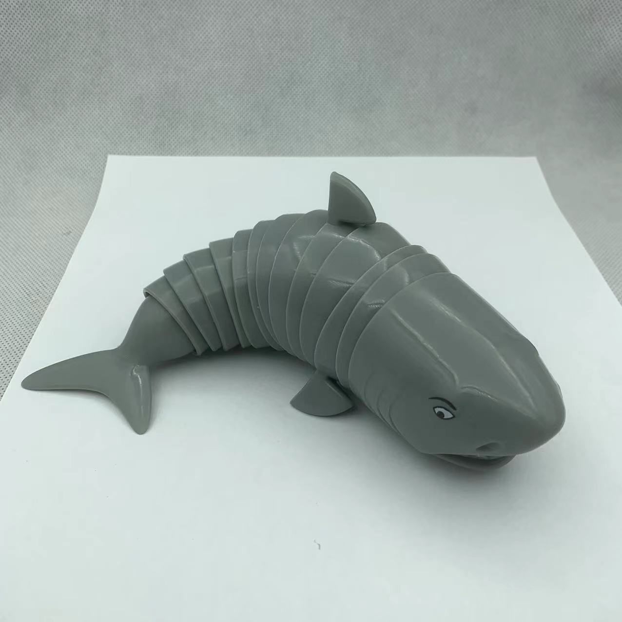 Gri köpekbalığı
