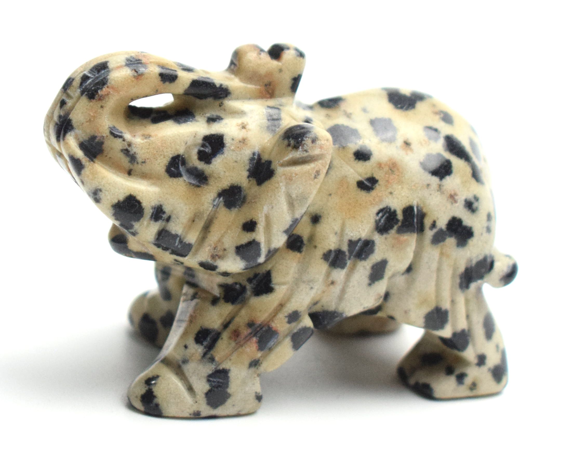 Dalmatie Jasper