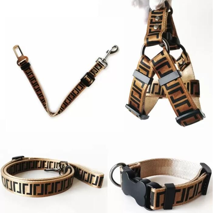 Collier + harnais + laisse + ceinture de sécurité-s