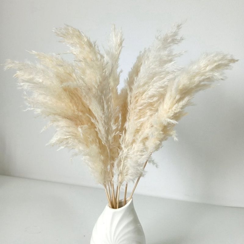 Cream Color-10pcs