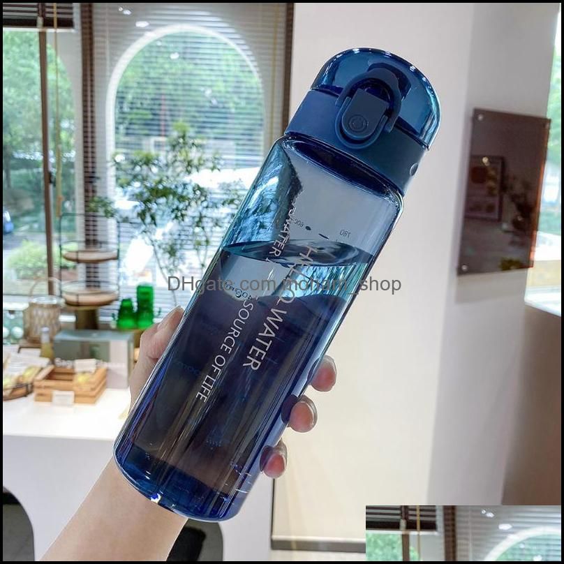 Blaue Flasche 780 ml