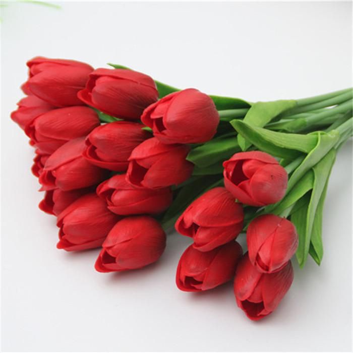 Tulip D12 Red Red