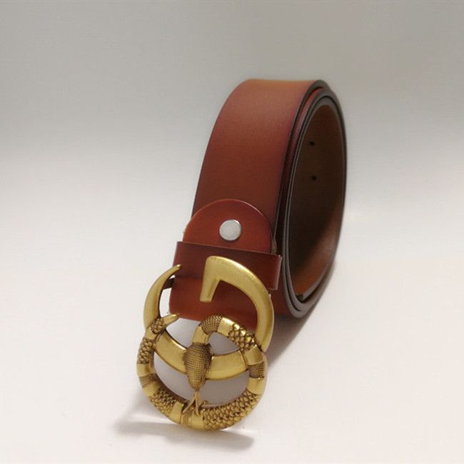 Bronze snake buckle + Brown belt