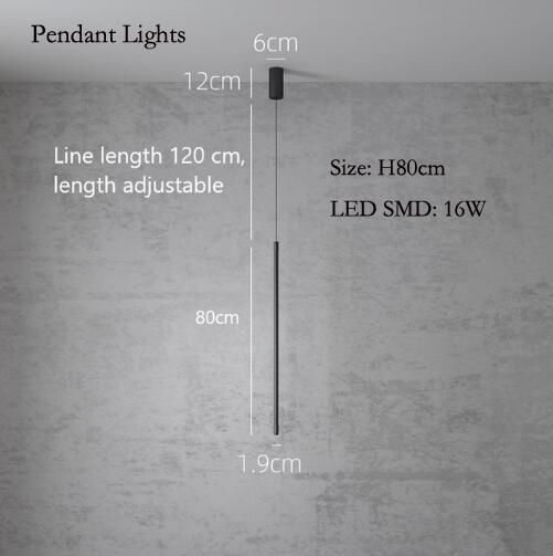 Pendant lamp H80 Black Lamp Body Cold