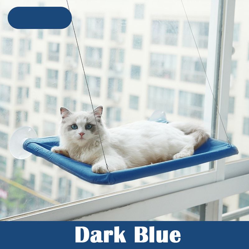Letto blu-gatto blu con tappeto B