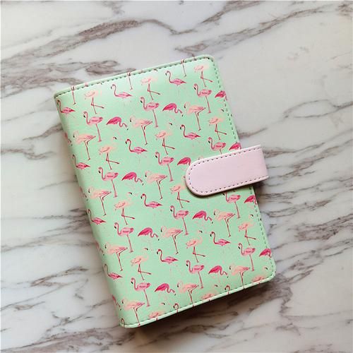 A6 Flamingo