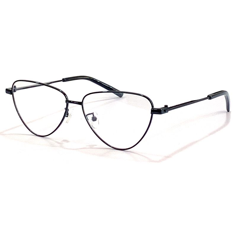 Cadre de lunettes n ° 1