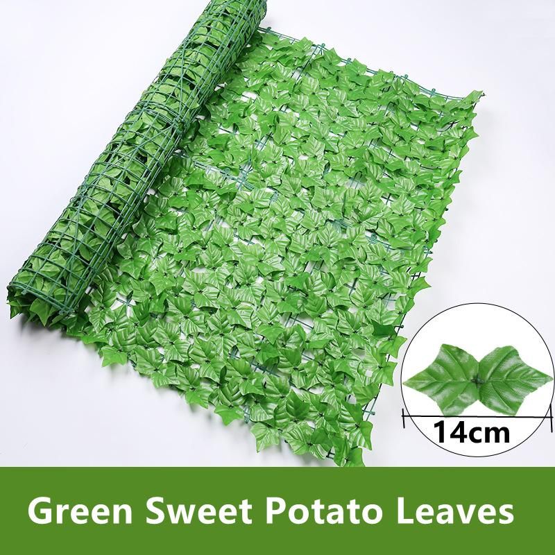 Зеленый картофельный листья