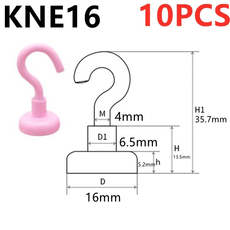 Rosa Kne16