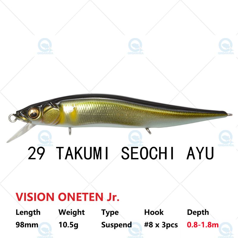 No.29 Takumi Seochi-Oneten Jr