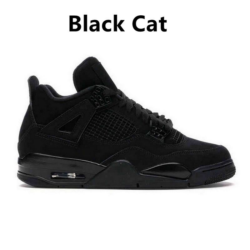 Cat noir 4s