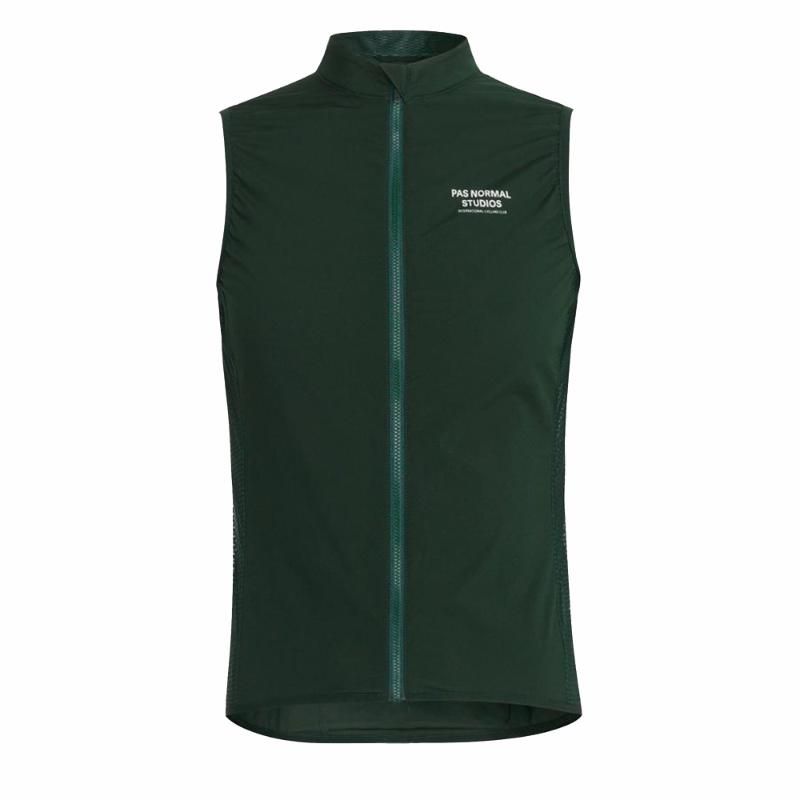 Logo Vest PNS