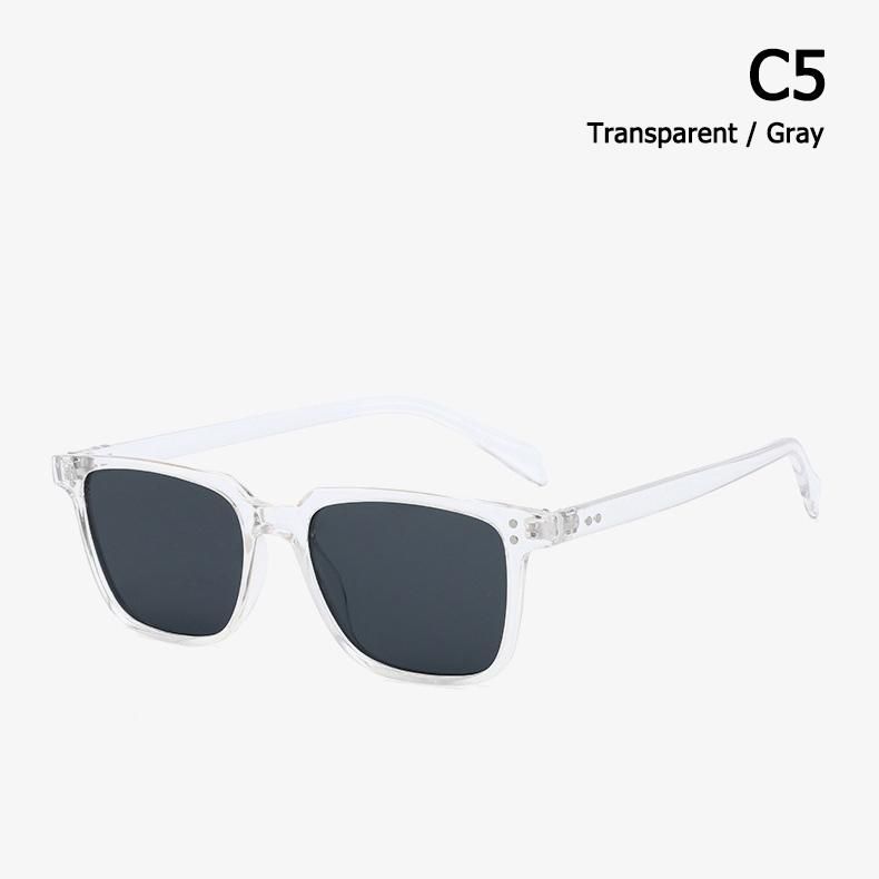 C5 cinza transparente